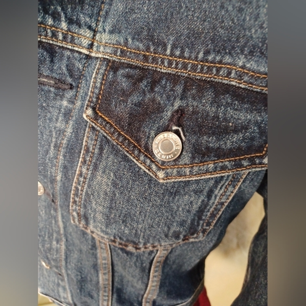 Everlane The Shrunken Denim Jacket - Picture 4 of 11